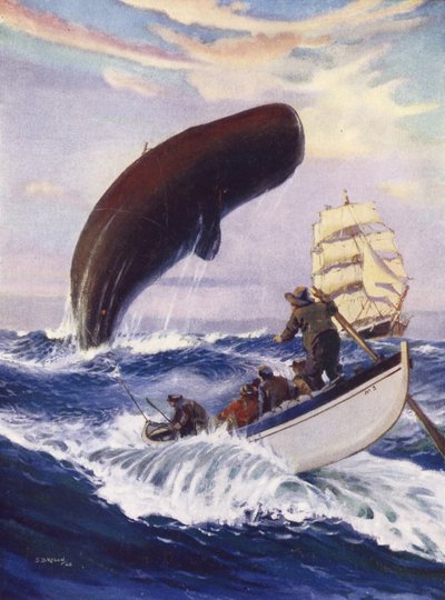 クジラは水からその全体の巨大な部分を持ち上げました 作： English School
