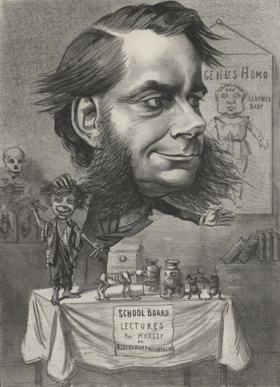 Thomas Henry Huxley、イギリスの生物学者 作： English School