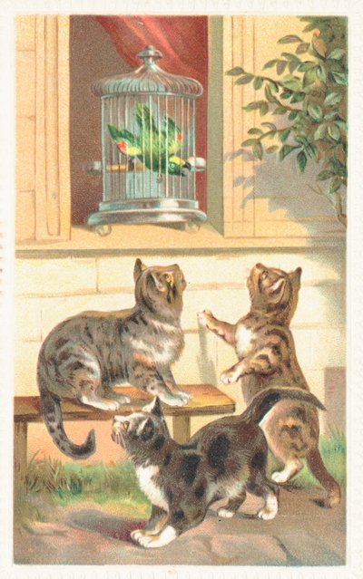 窓の下に座っている三匹の猫 作： English School