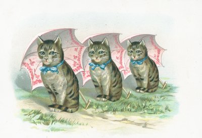 三匹の猫が並んで 作： English School