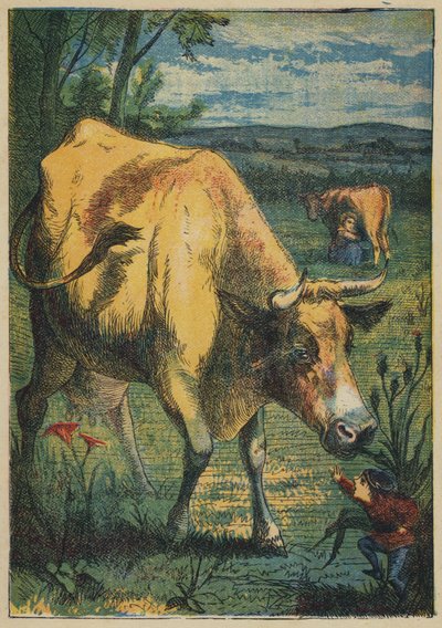 Tom Thumb and the Cow (カラーリトグラフ) 作： English School