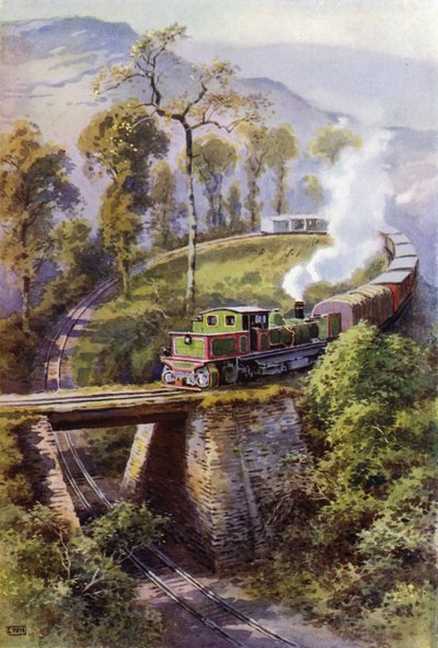 インドのダージリン・ヒマラヤ鉄道のループであるアゴニー・ポイントを回る列車（色リソ） 作： English School