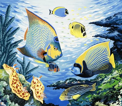 熱帯魚 作： English School