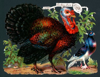 トルコと鳩、クリスマスカード 作： English School