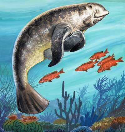 海底の生き物 作： English School