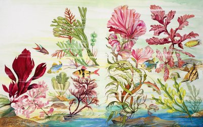 水中植物（紙にグワッシュ） 作： English School