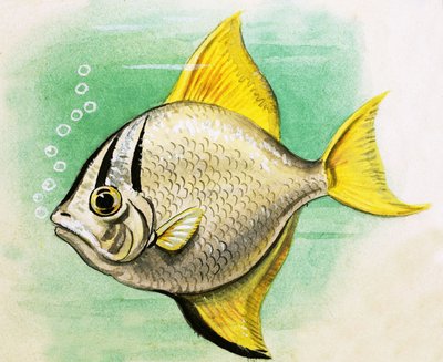 正体不明の魚 作： English School
