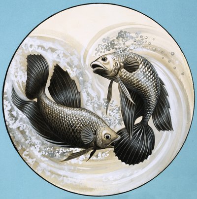 正体不明の魚、1つは他をかむ 作： English School