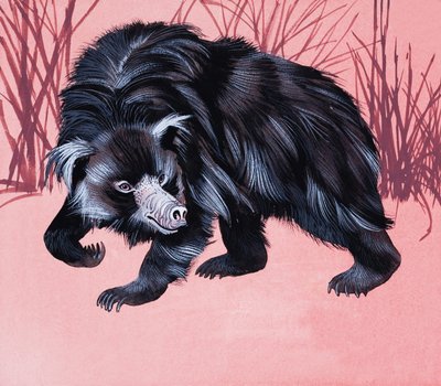 正体不明の毛皮のような動物 作： English School