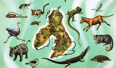 イギリスの地図周辺の動物の正体不明のモンタージュ 作： English School