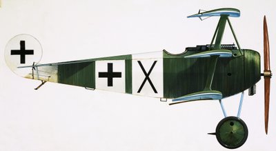 正体不明の三葉機 作： English School
