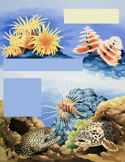 未確認の水中動植物 作： English School