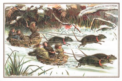 そりラットレース、クリスマスカードを持つウニ 作： English School