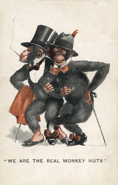 We are the real Monkey Nuts (カラーリトグラフ) 作： English School