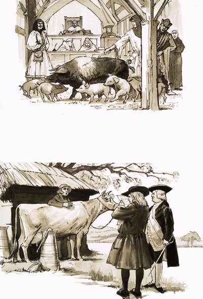 動物が法廷で裁判にかけられたとき 作： English School