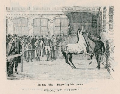 Whoa、My Beauty-彼のペースを示すリング 作： English School