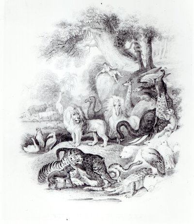 「地球の歴史と生気に満ちた自然」の野生動物、オリバーゴールドスミス作、ロンドン、1840 作： English School