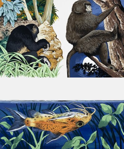 野生動物のモンタージュ 作： English School