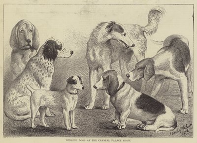 クリスタル・パレス・ショーでの勝利の犬（彫刻 作： English School