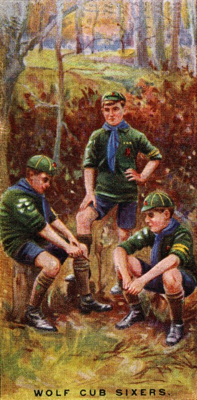 ウルフカブシクサーズ、1929 作： English School