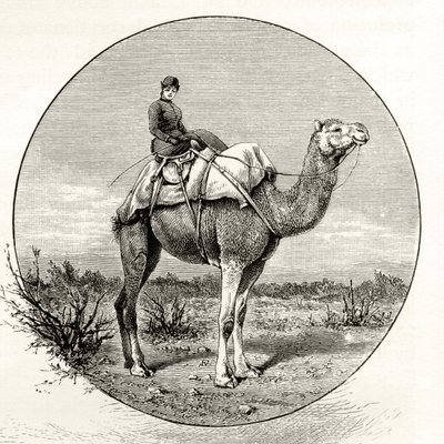 オーストラリアのラクダに乗った女性、1880年、ハワードウィロビー著「オーストラリアの写真」より、ロンドン宗教宗教協会発行、1886年 作： English School