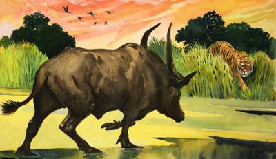 自然の驚異：それらすべての最も激しい動物 作： English School