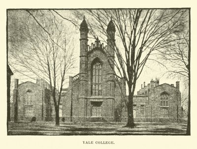 イェール大学 作： English School