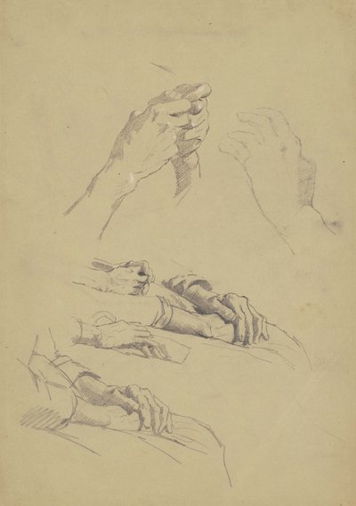 手の六つの研究、1870年から90年（黄褐色の紙にグラファイトとチョーク） 作： Enoch Wood Perry