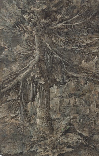 「大きなもみの木」。 要塞都市と要塞のある山の風景、前景に大きなモミの木 作： Erhard Altdorfer