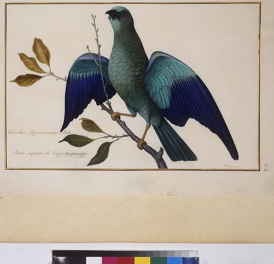  作： Erich Lessing