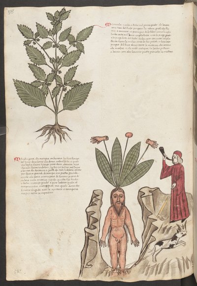  作： エーリッヒ・レッシング