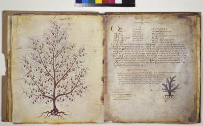  作： エーリッヒ・レッシング