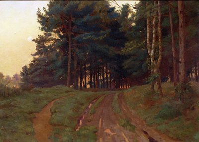 沈黙は彼女の夜の統治、1888年を主張しました 作： Ernest Arthur Rowe