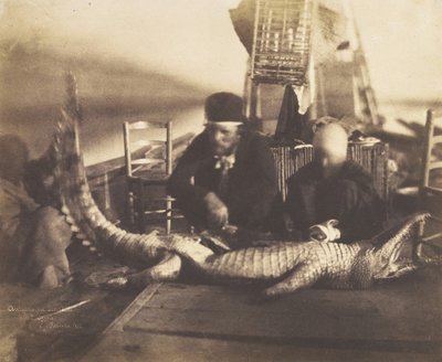 1852年、上エジプトで最初に乗船したクロコダイルの検死。 作： Ernest Benecke
