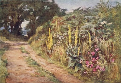生け垣の中心 作： Ernest Benger or Berenger