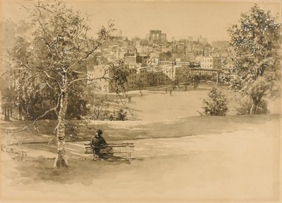 市街地を一望（？） 作： Ernest C. Peixotto