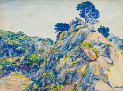ポイントロボス、19世紀後半から20世紀初頭。 作： Ernest Haskell