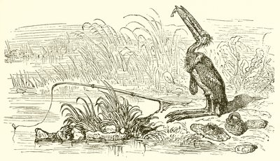 釣り人と小さな魚 作： Ernest Henry Griset