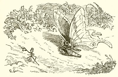 アリと蛹 作： Ernest Henry Griset