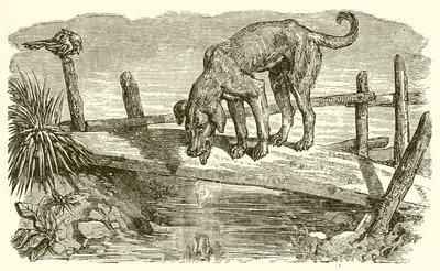 犬と彼の影 作： Ernest Henry Griset