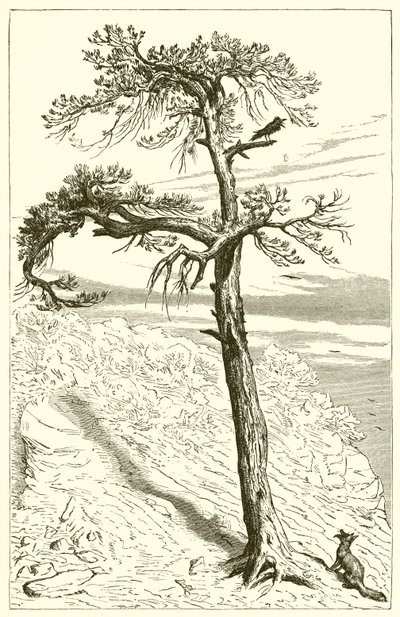 キツネと乗組員 作： Ernest Henry Griset