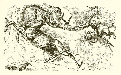 プールを見ているクワガタ 作： Ernest Henry Griset