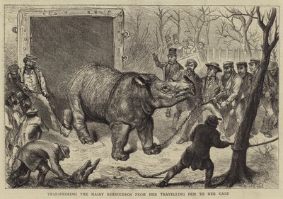 毛むくじゃらのサイをトラベリングデンからケージに移す 作： Ernest Henry Griset