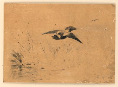 ボボリンク 作： Ernest Thompson Seton