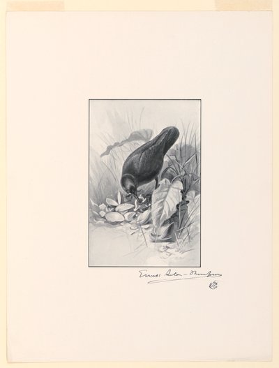 コレクションの逸品、チャイナカップのハンドル 作： Ernest Thompson Seton
