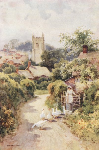 Bere Regis (カラーリソ) 作： Ernest William Haslehust