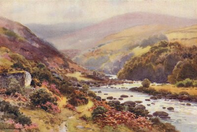 Dartmeet (カラーリソ) 作： Ernest William Haslehust