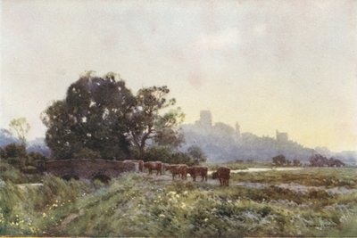 牧草地のドーチェスター（カラーリソ） 作： Ernest William Haslehust