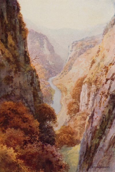 Dovedale (カラーリソ) 作： Ernest William Haslehust