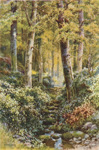 Fairlight Glen (カラーリソ) 作： Ernest William Haslehust